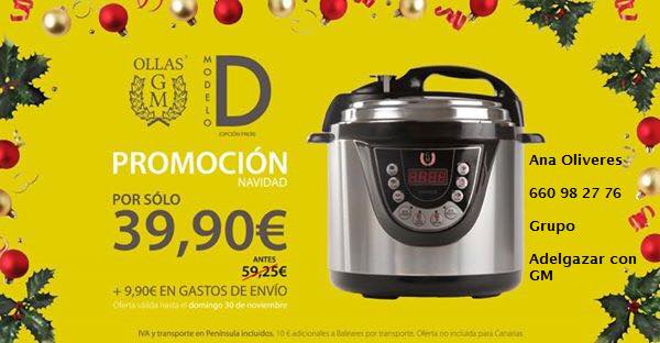 GM D SIN VOZ FUNCION FREIDORA