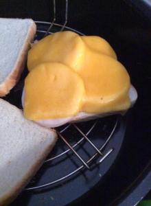 la rebanada de pan con el fiambre de pavo y el queso cheddar encima...