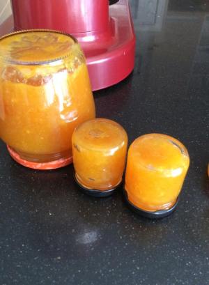 mermelada de naranja y limon3