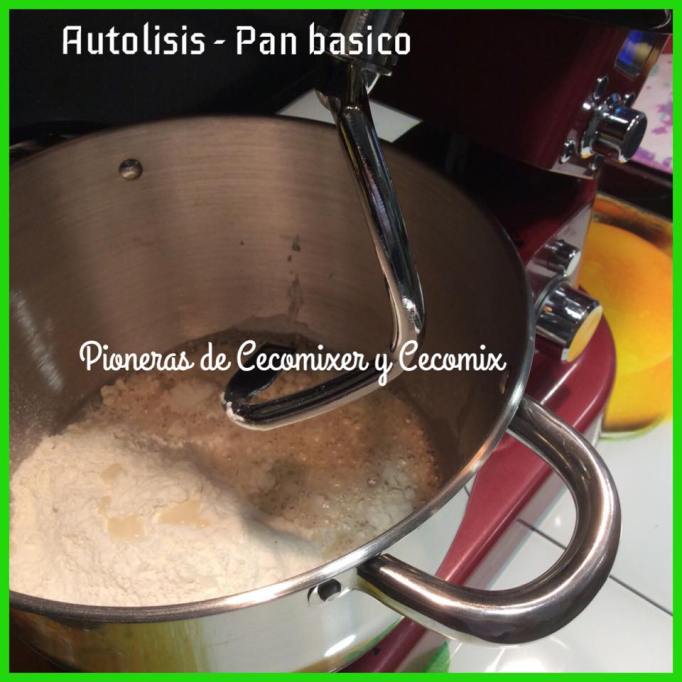 pan basico8