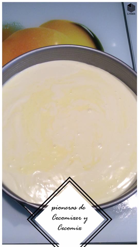 tarta gelatina y queso4