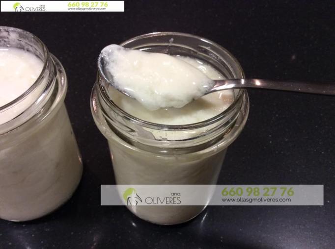 yogur-menu-fermentar1