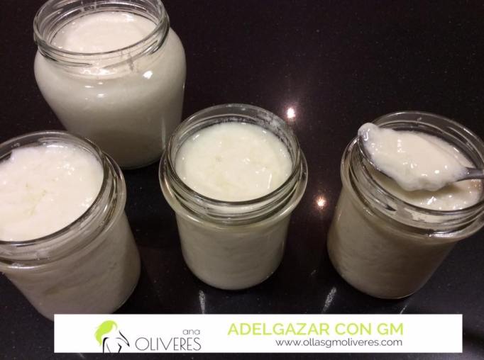 yogur-menu-fermentar3